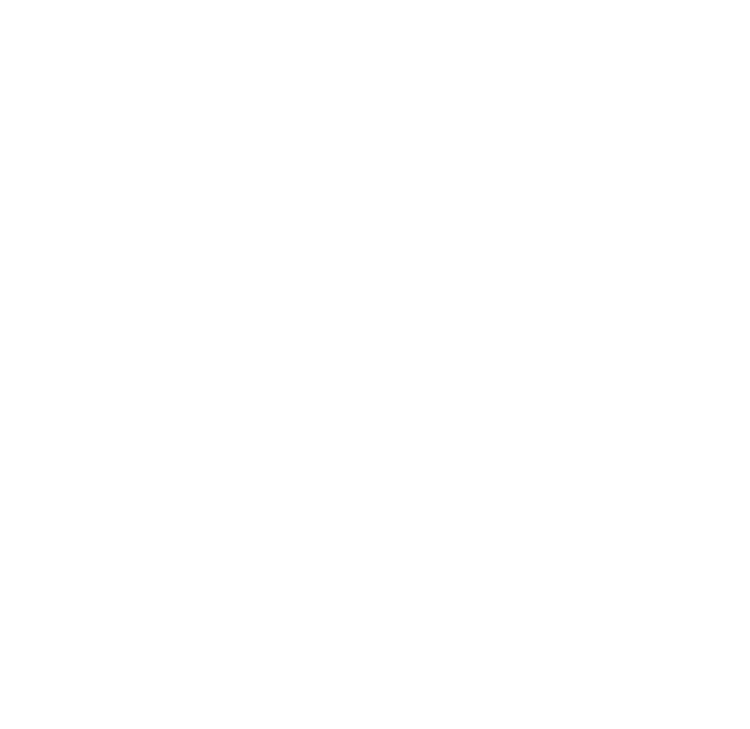 Adidas Company Logo